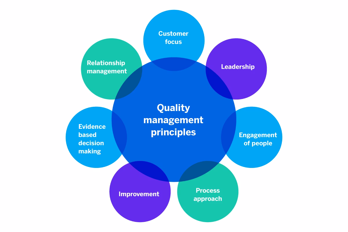 What is a Quality Management System (QMS)?