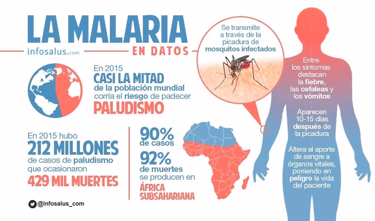 ¿Cuáles son los tipos de malaria?