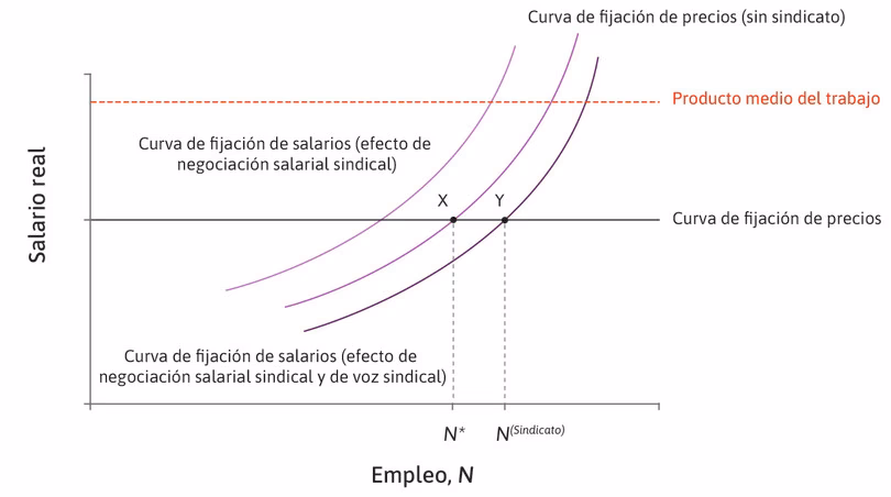 ¿Cómo encontrar un empleo en el mercado laboral?