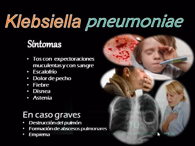 ¿Qué es la Klebsiella y cómo se contagia?