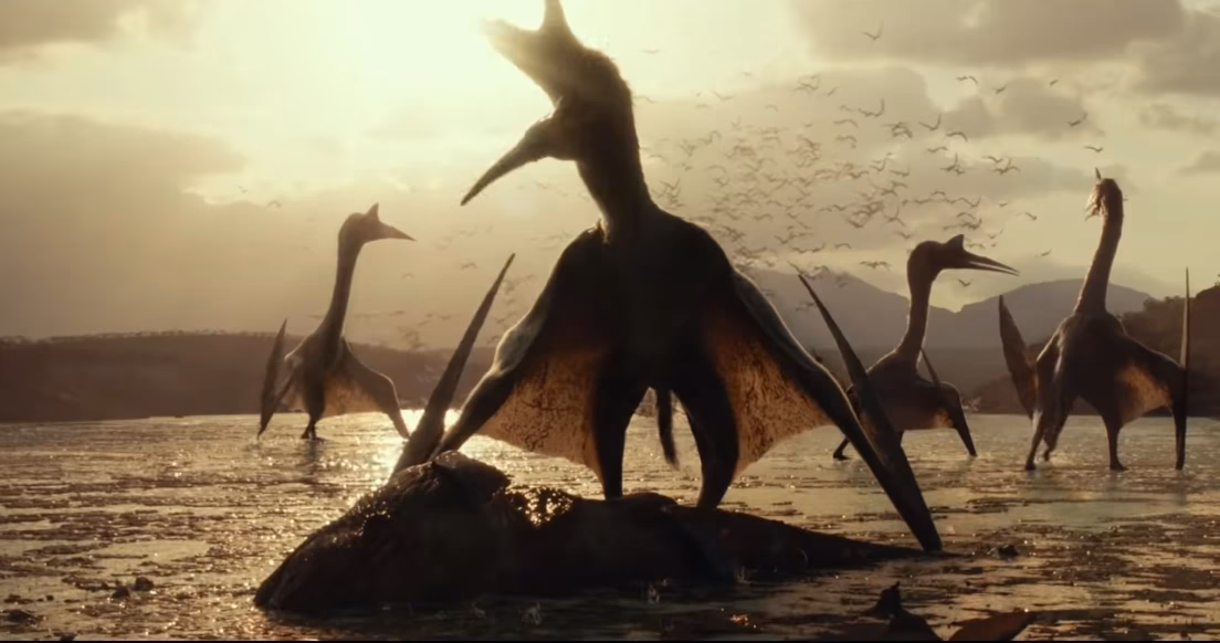 When was Quetzalcoatlus discovered?