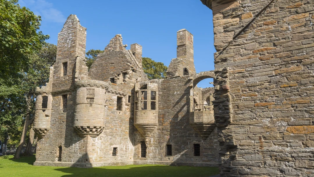 How many Rabbie's tours reviews are there?