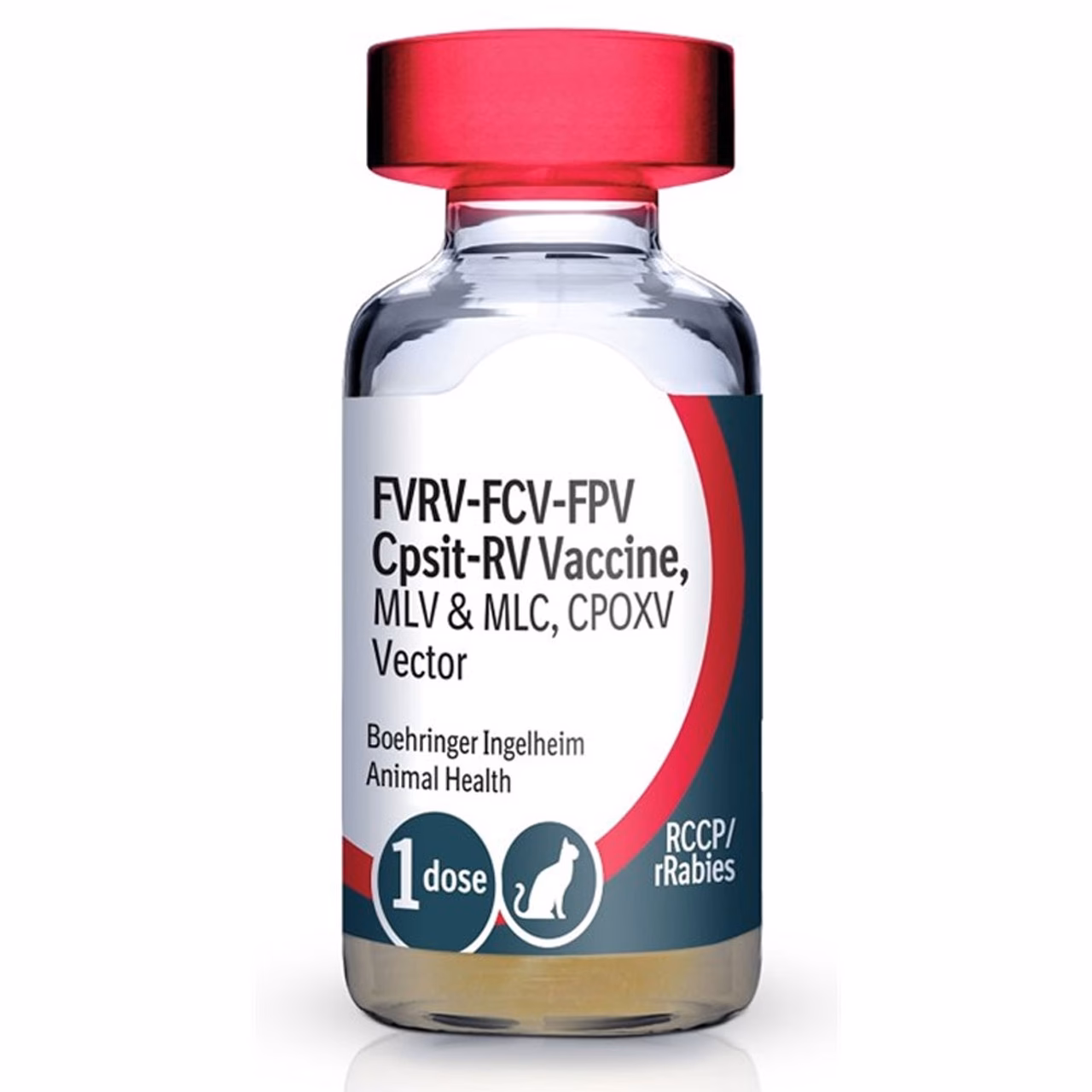 How long does it take for rabies to spread?