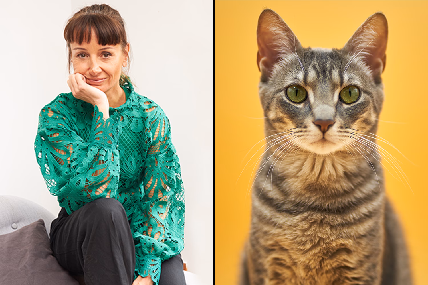 What is the recommended dose for rabies treatment?