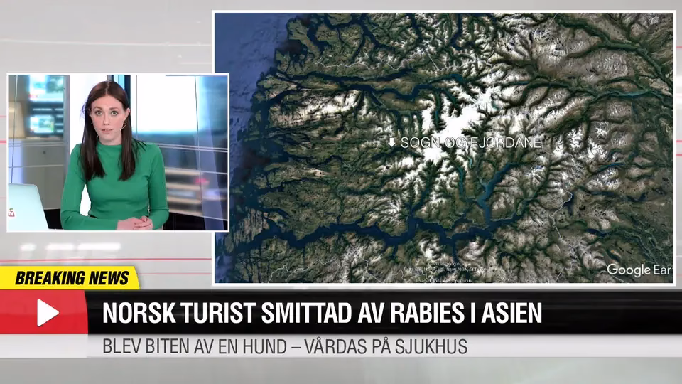 Why is rabies a problem in Southeast Asia?