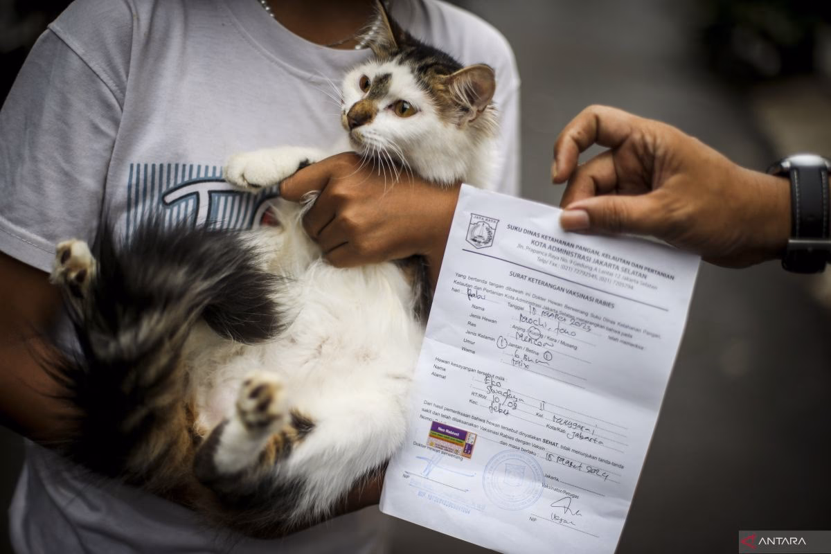How many people died from rabies in Indonesia in 2023?