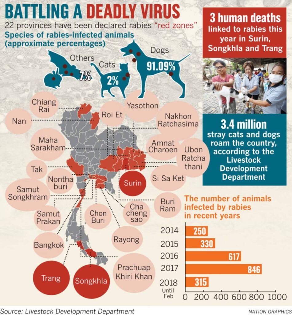Rabies på Bali: Advarsel til rejsende - MEDNOTE