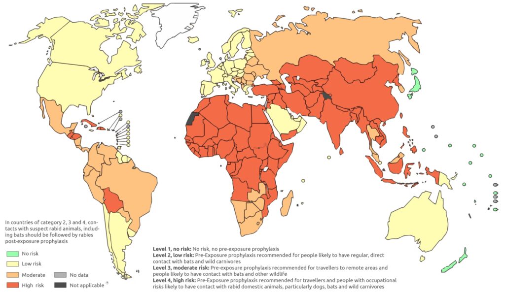 Rabies: Alt du skal vide før din rejse - MEDNOTE