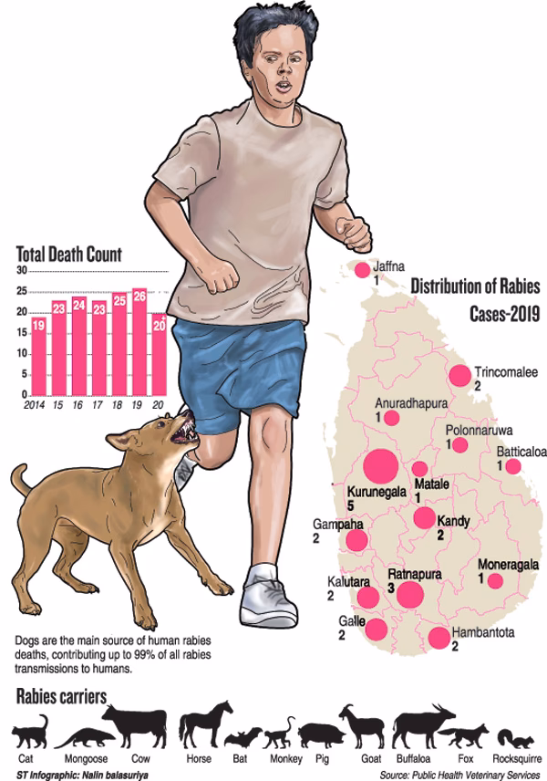 What is the current status of rabies in Sri Lanka?