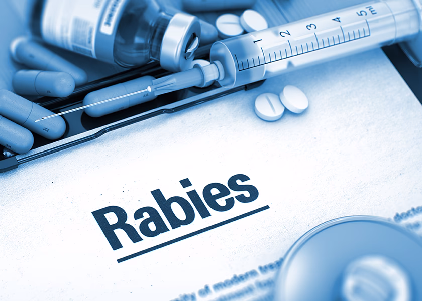 What is the rabies Epidemiological Bulletin (Sare)?