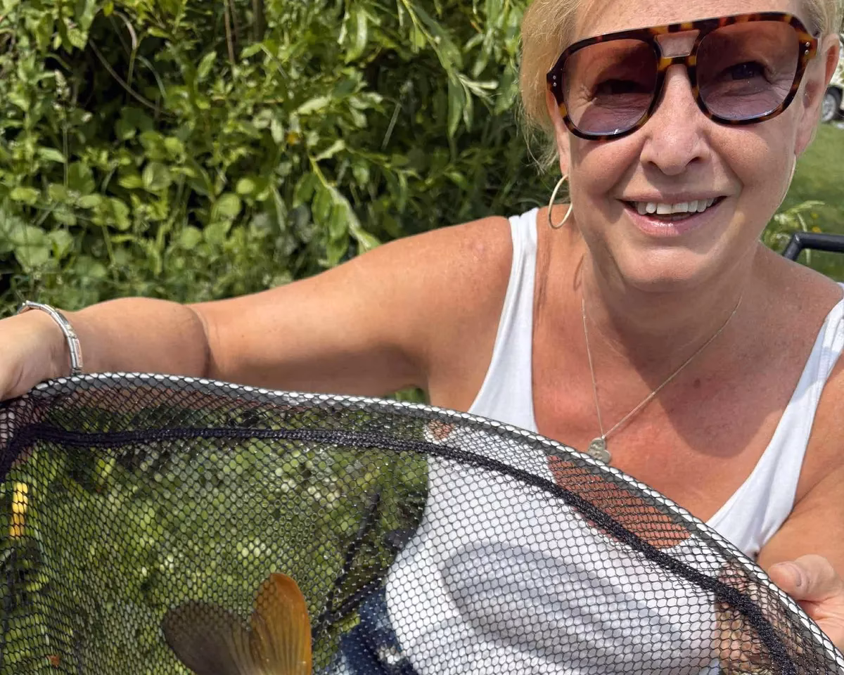 Is there a risk of rabies in Yorkshire and the Humber?