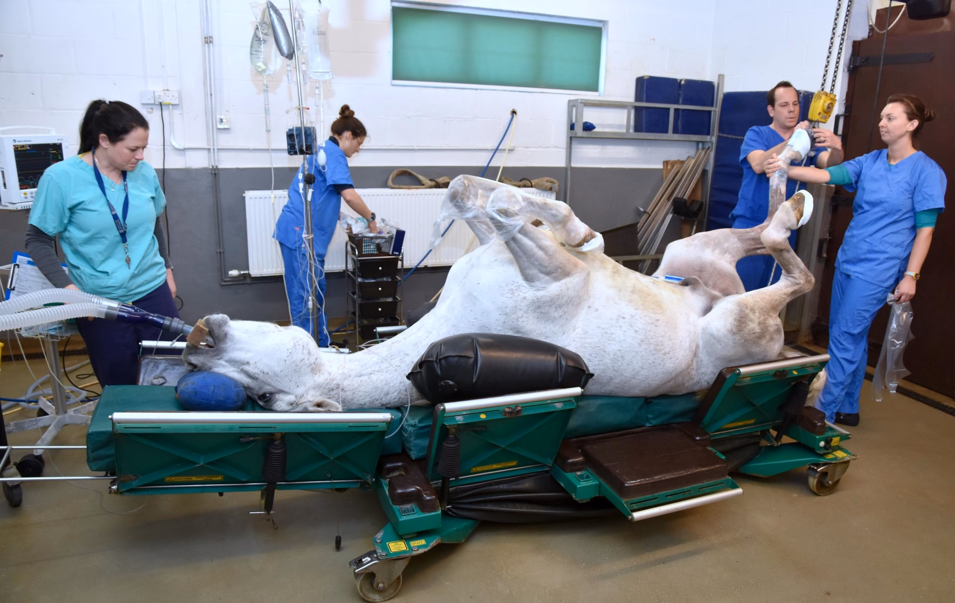 Where is Rainbow Equine Hospital in North Yorkshire?