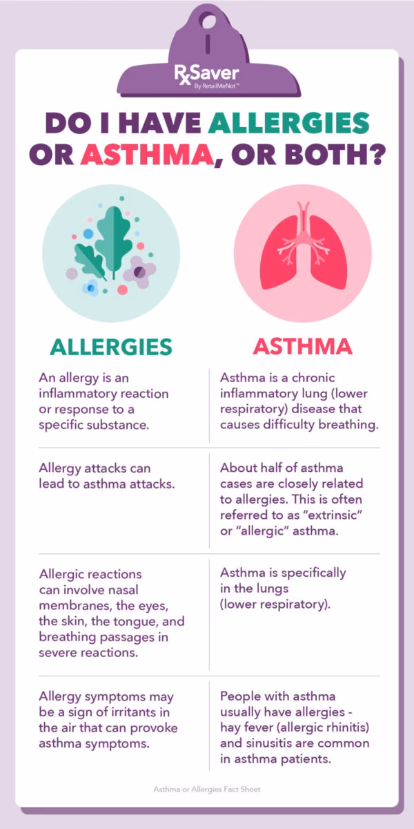 Qu'est-ce que la rhinite allergique ?