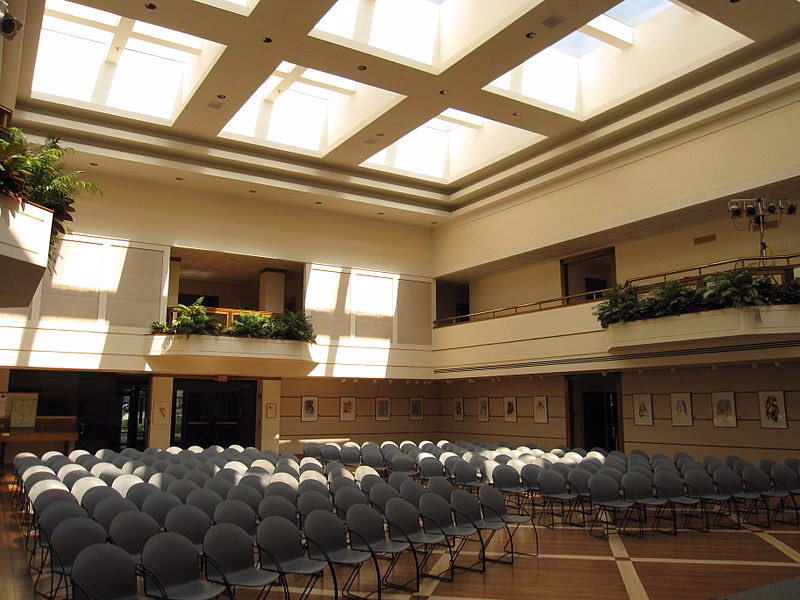 How can I contact the Austrian Embassy in the US?