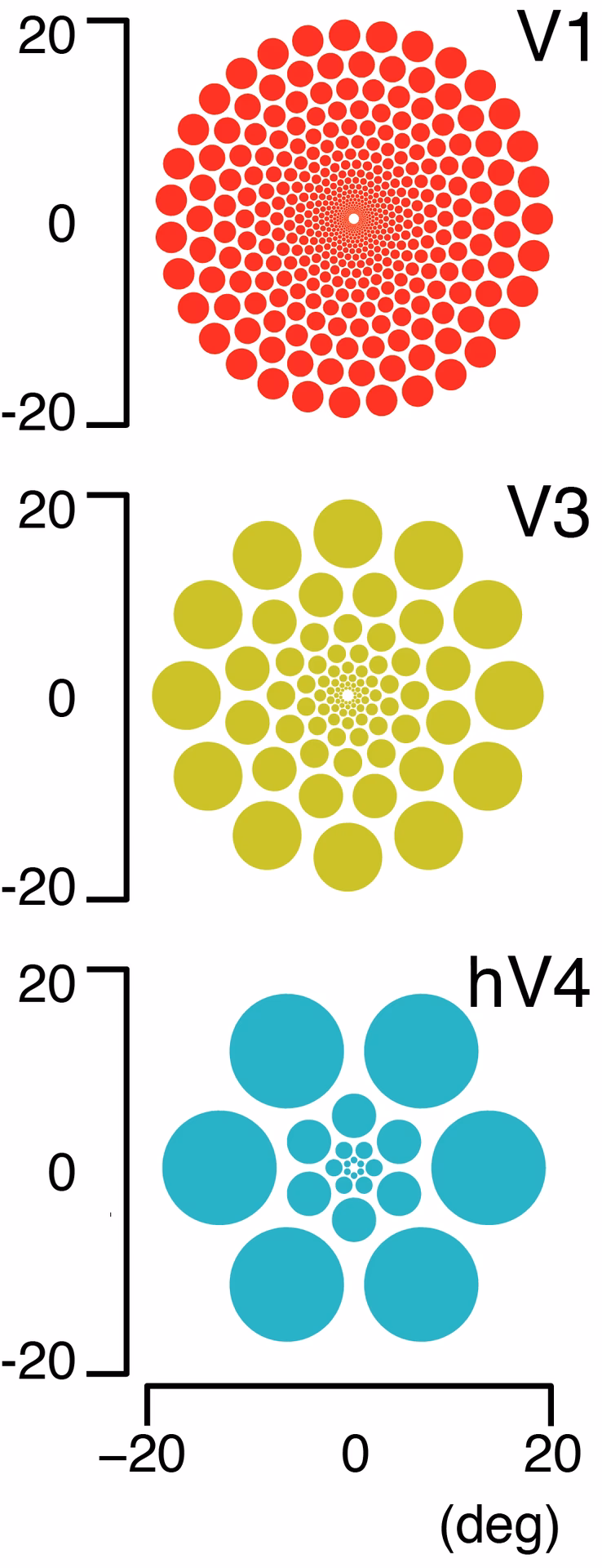 What is receptive field in deep learning?
