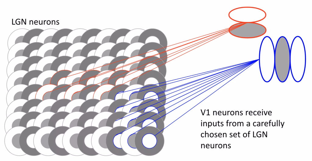 Is itch a unique sensation?