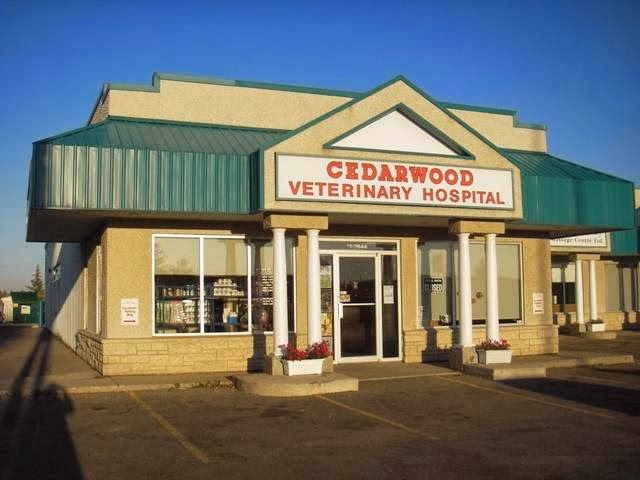 Where can I find a veterinarian in red deer?