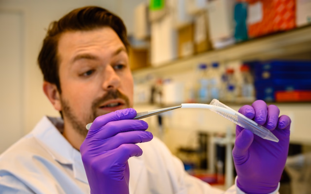 Where can I do a regenerative medicine internship?