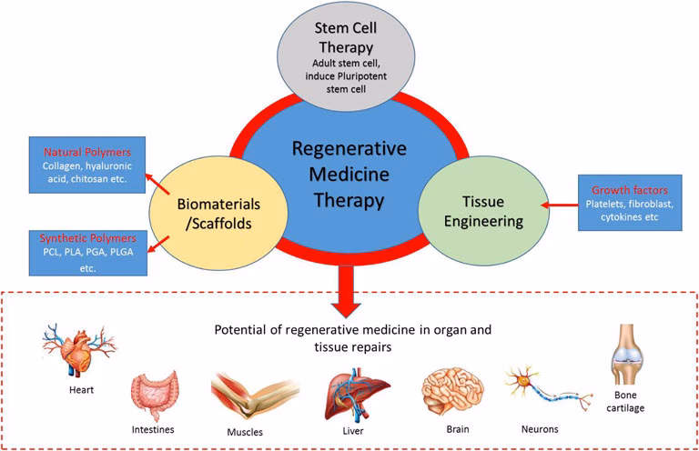 When did regenerative medicine start?