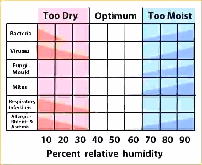 How does relative humidity affect the health of the elderly?