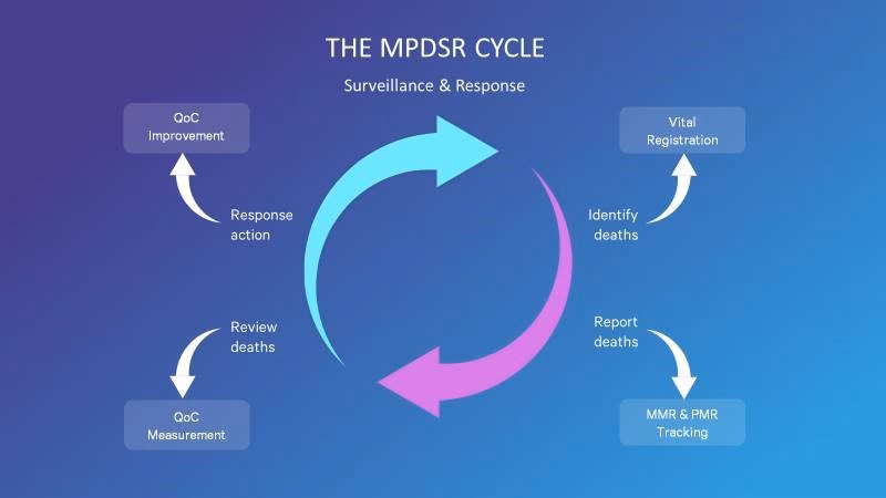 What are perinatal mortality surveillance reports?