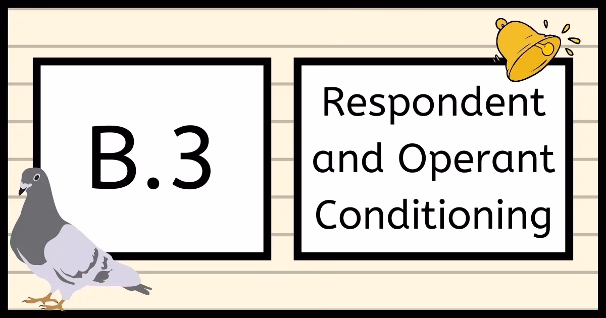 What is the difference between respondent behavior and operational behavior?