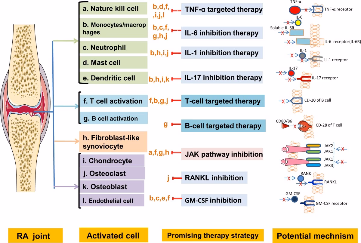 What is ICD M05 79 rheumatoid arthritis?