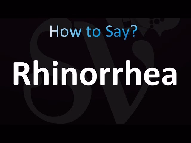 When was the word rrhea first recorded?