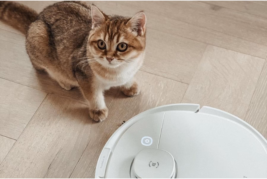 Can a robot vacuum remove allergens?