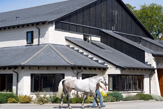 Does Rossdales have a sport horse health check?