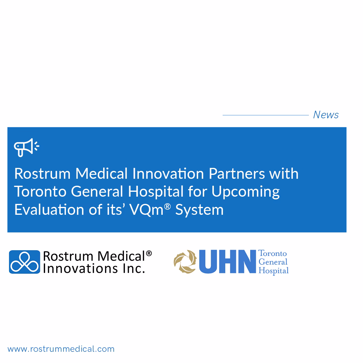 What is a rostrum in anatomy?