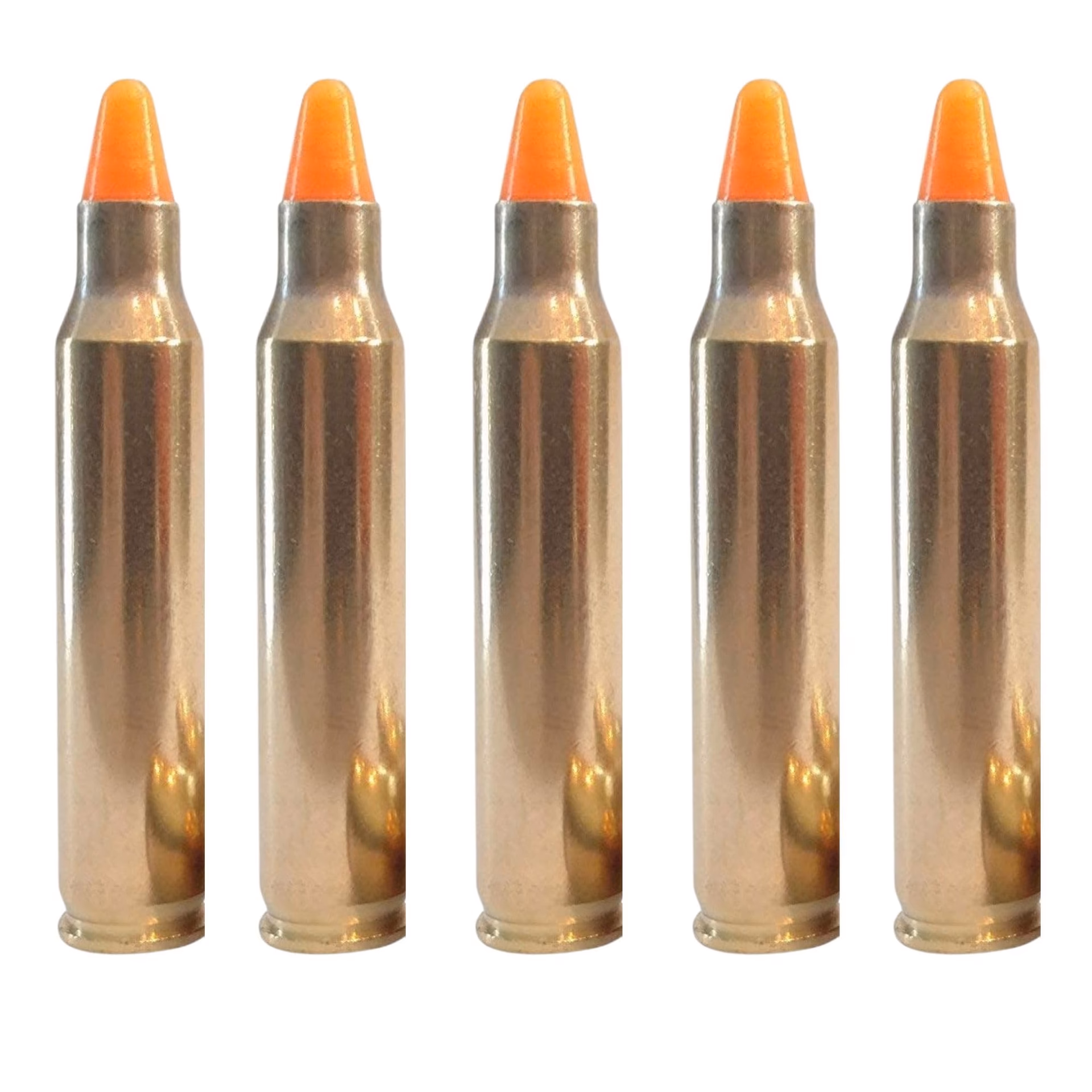 How many rounds did the Special Operations Forces shoot?