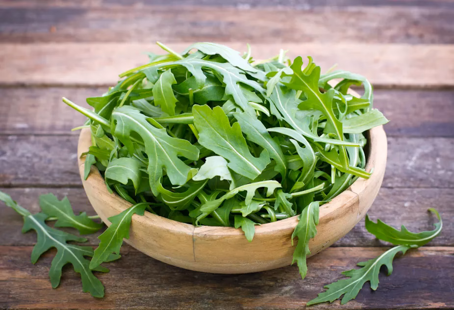 Was ist Rucola und wie wirkt es?