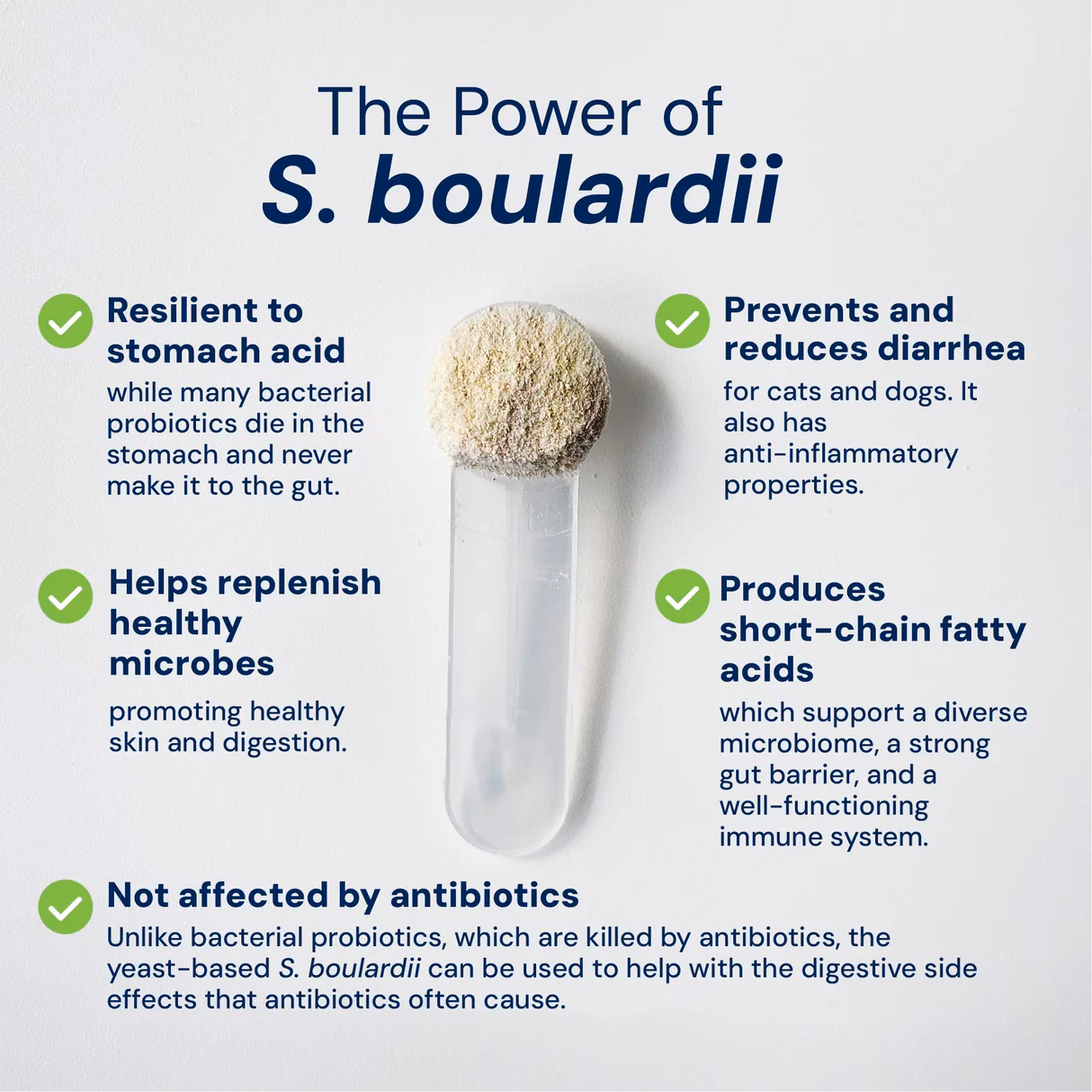 Can cats eat Saccharomyces boulardii?