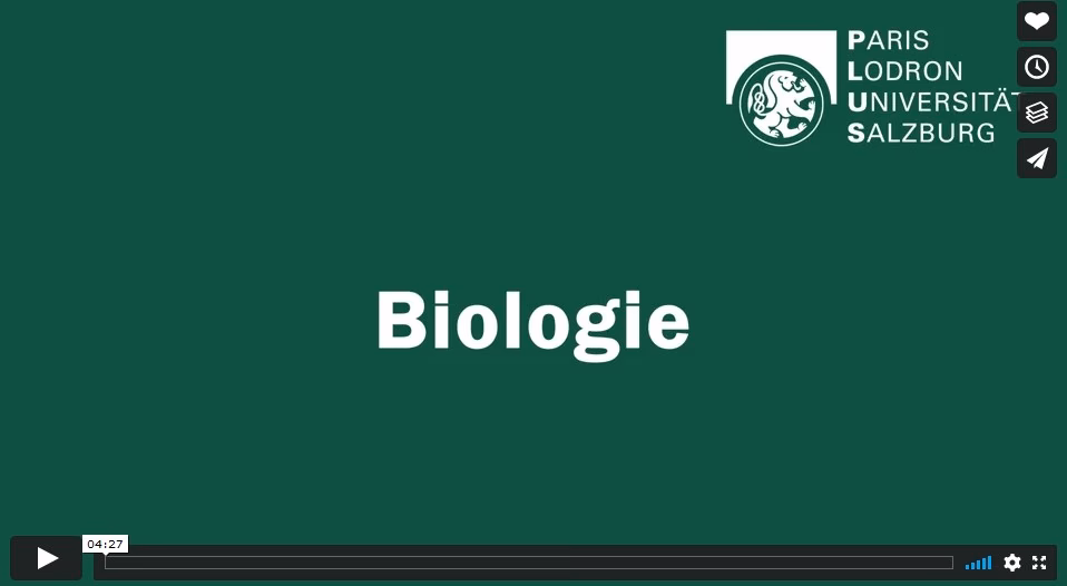 Wie heißt die größte Schule in Salzburg?