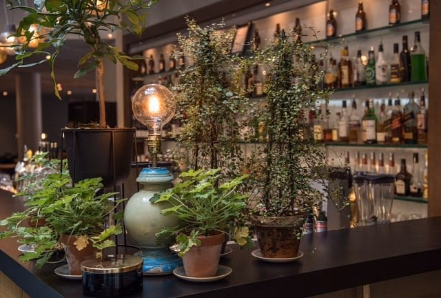 Does Scandic Crown have a restaurant?