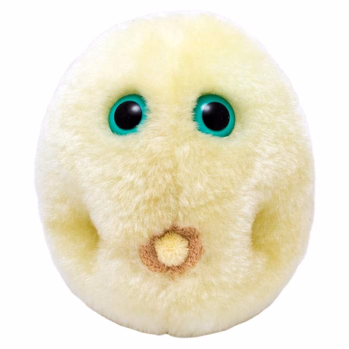 Are toys allergenic?