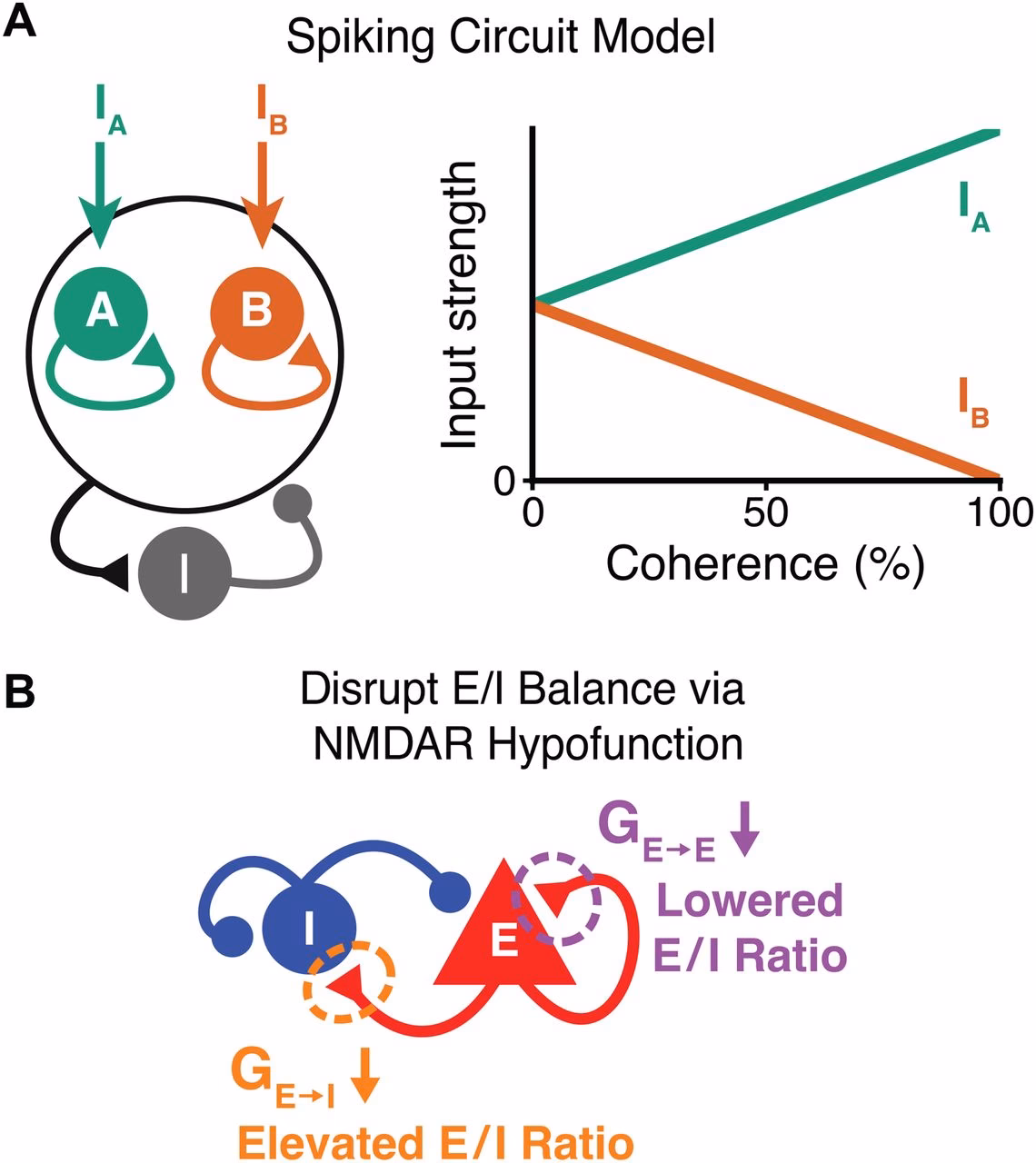 Do novel mechanisms targeting e/i balance improve the management of schizophrenia (SCZ)?