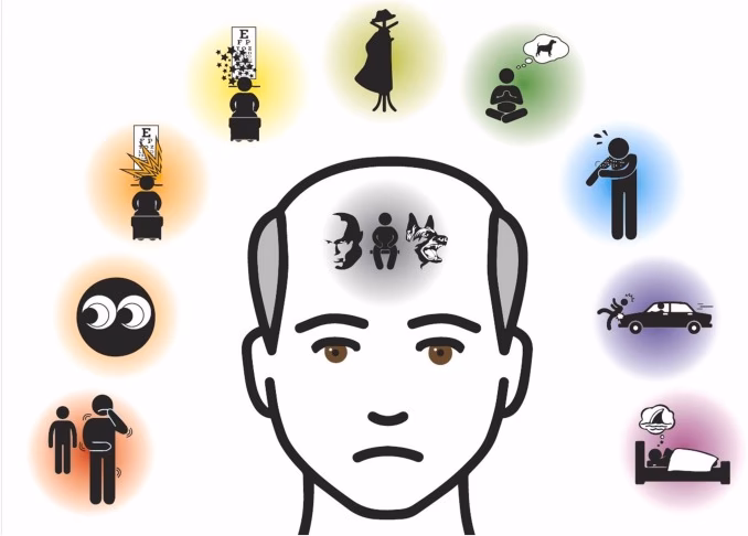 How do perception distortions and hallucinations affect people with schizophrenia?