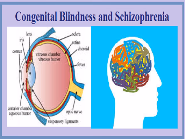 Is early blindness a risk factor for schizophrenia?