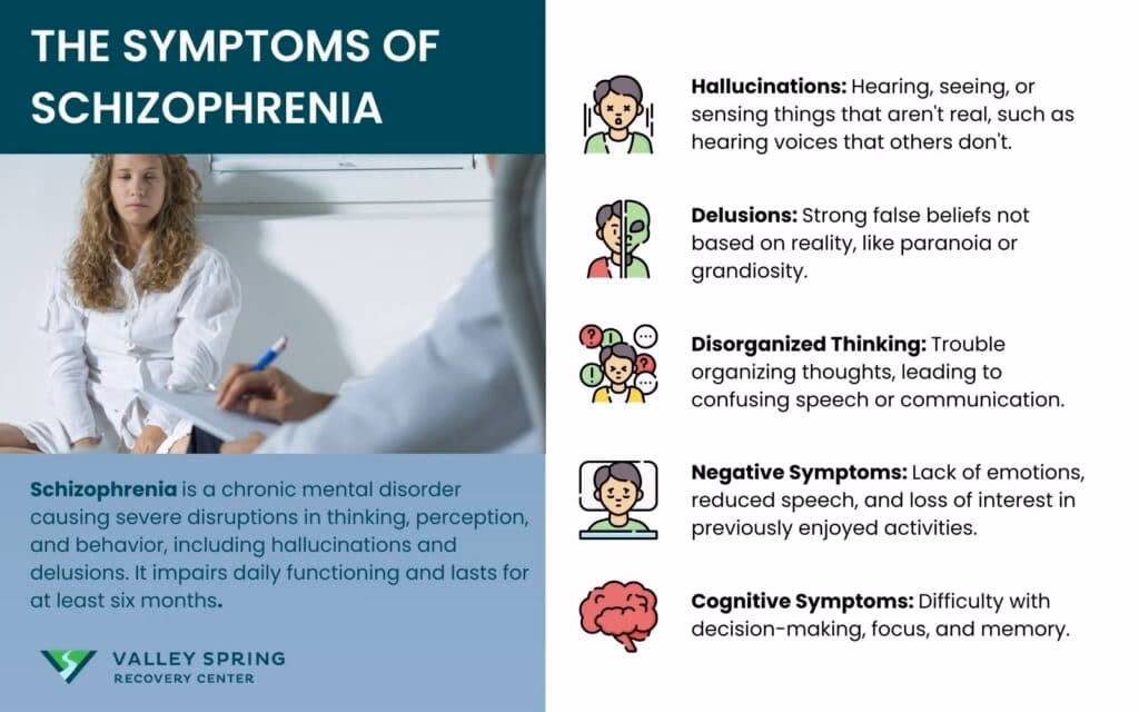 What does schizophrenia mean?