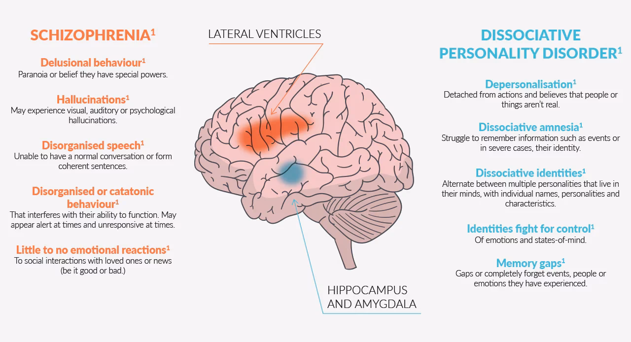 What is the difference between schizophrenia and did treatment?
