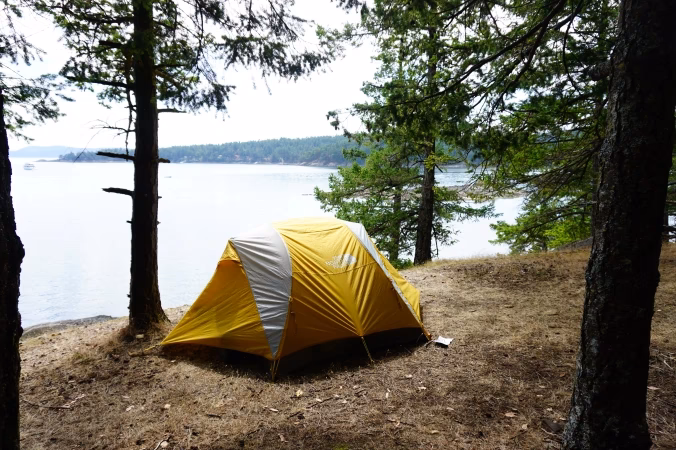 Is Shingle Bay a good campground?