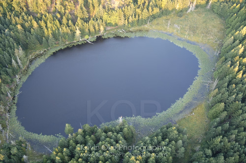 When is Shingle Bay campground open?