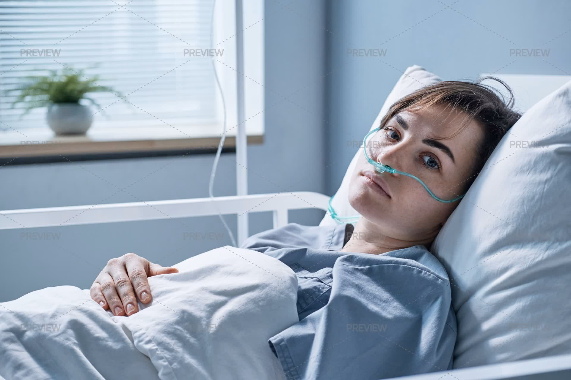 How many professional sick patient hospital bed stock photos are available?