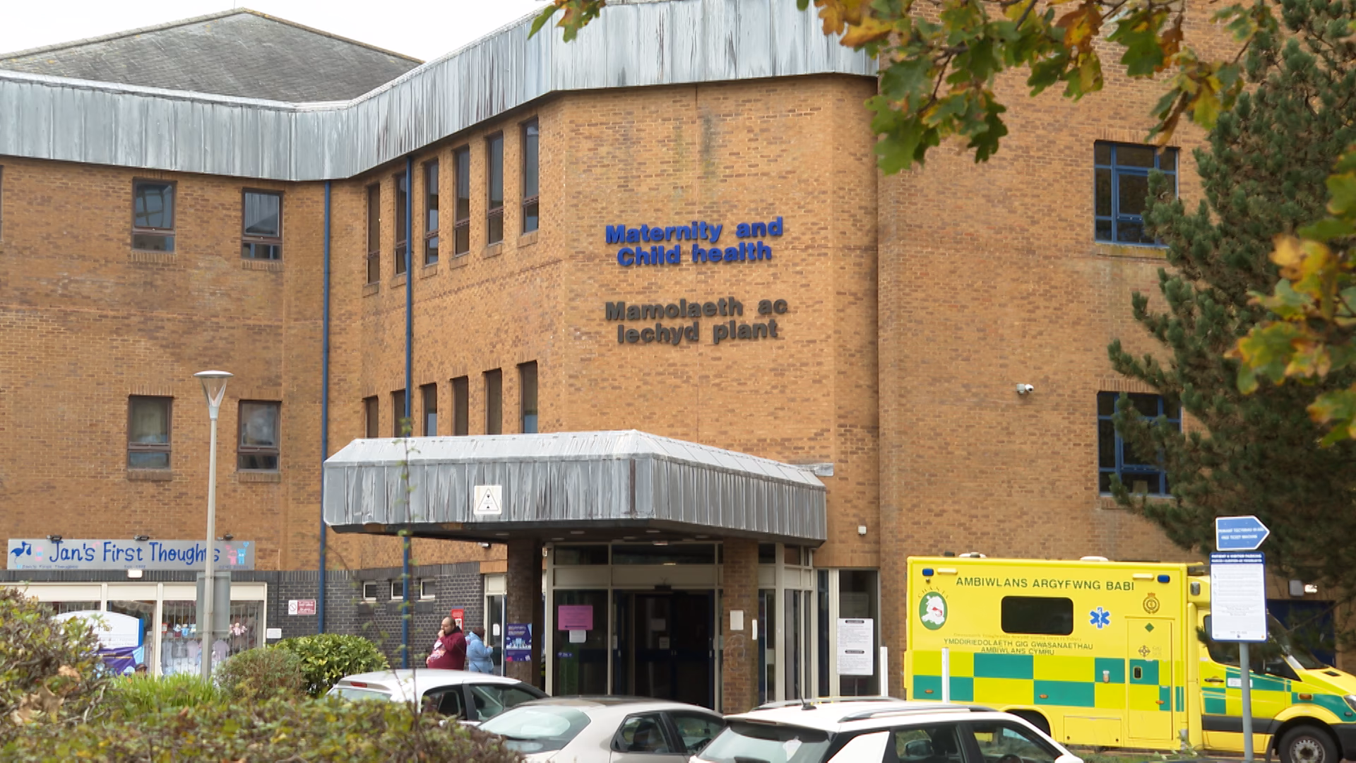 Where is the Singleton Hospital development site?