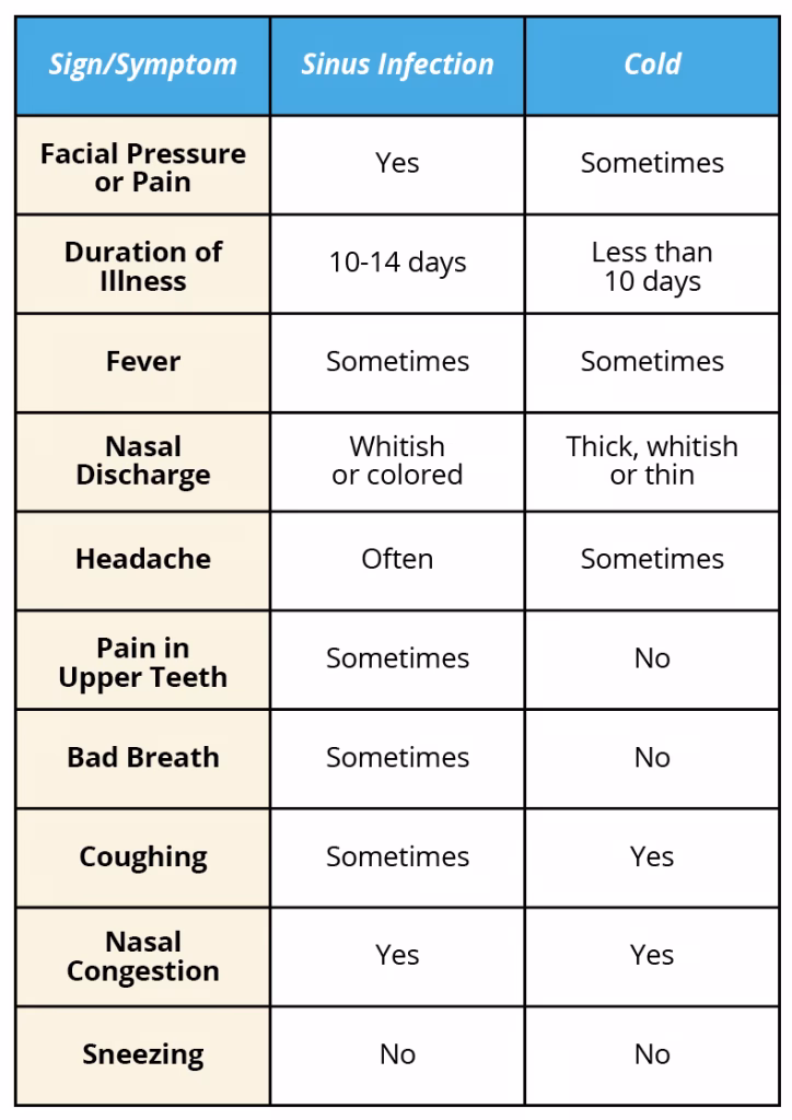 Can a cold cause a sinus infection?