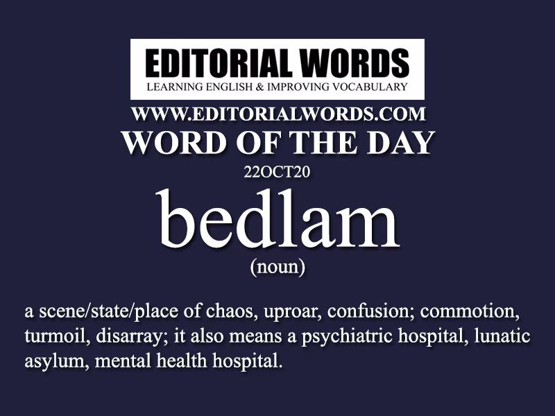 What is another word for mental hospital?