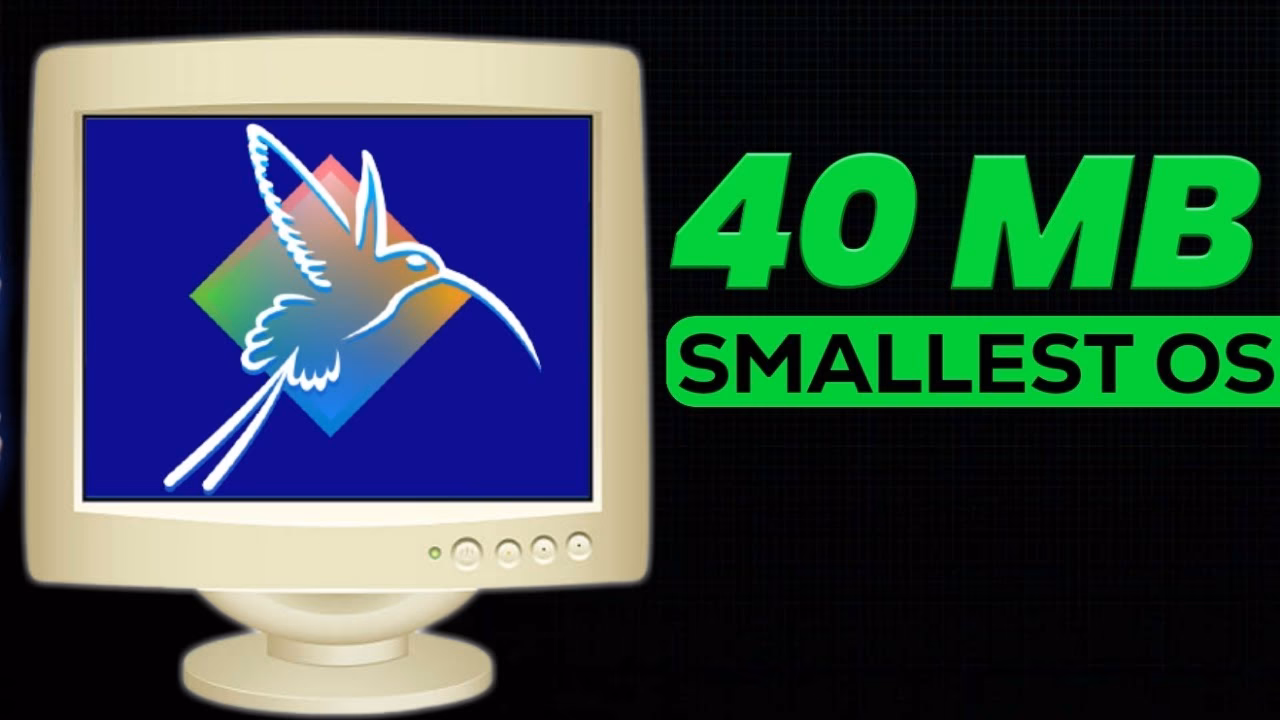 What is the smallest version of Windows 10?