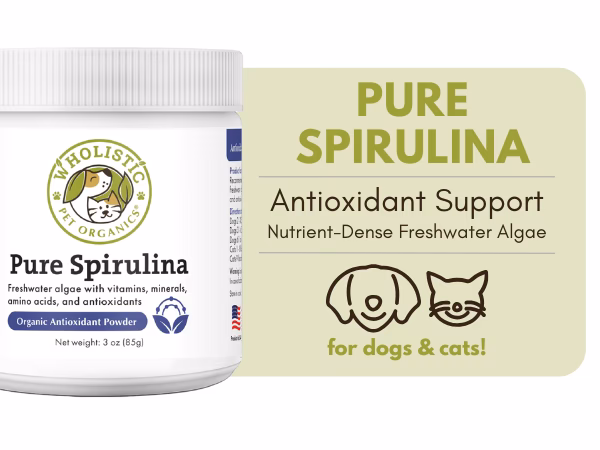 What is a spirulina allergen?